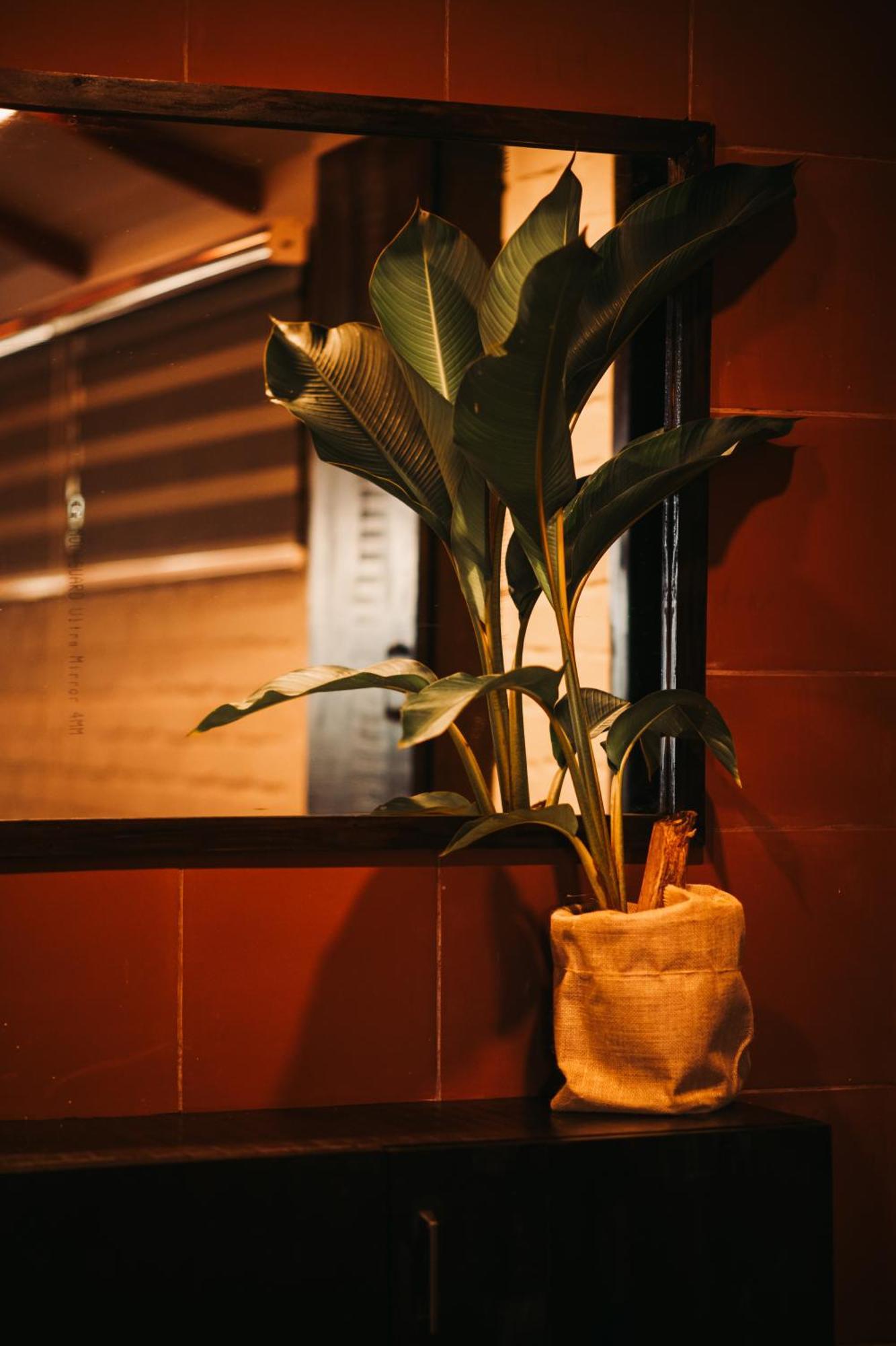 Boho'S Hotel バルカラ エクステリア 写真